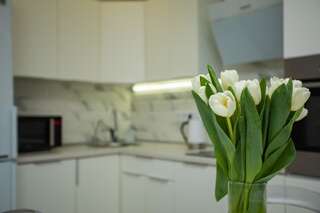Апартаменты Hoffman house 154 Киев Апартаменты с 1 спальней-5